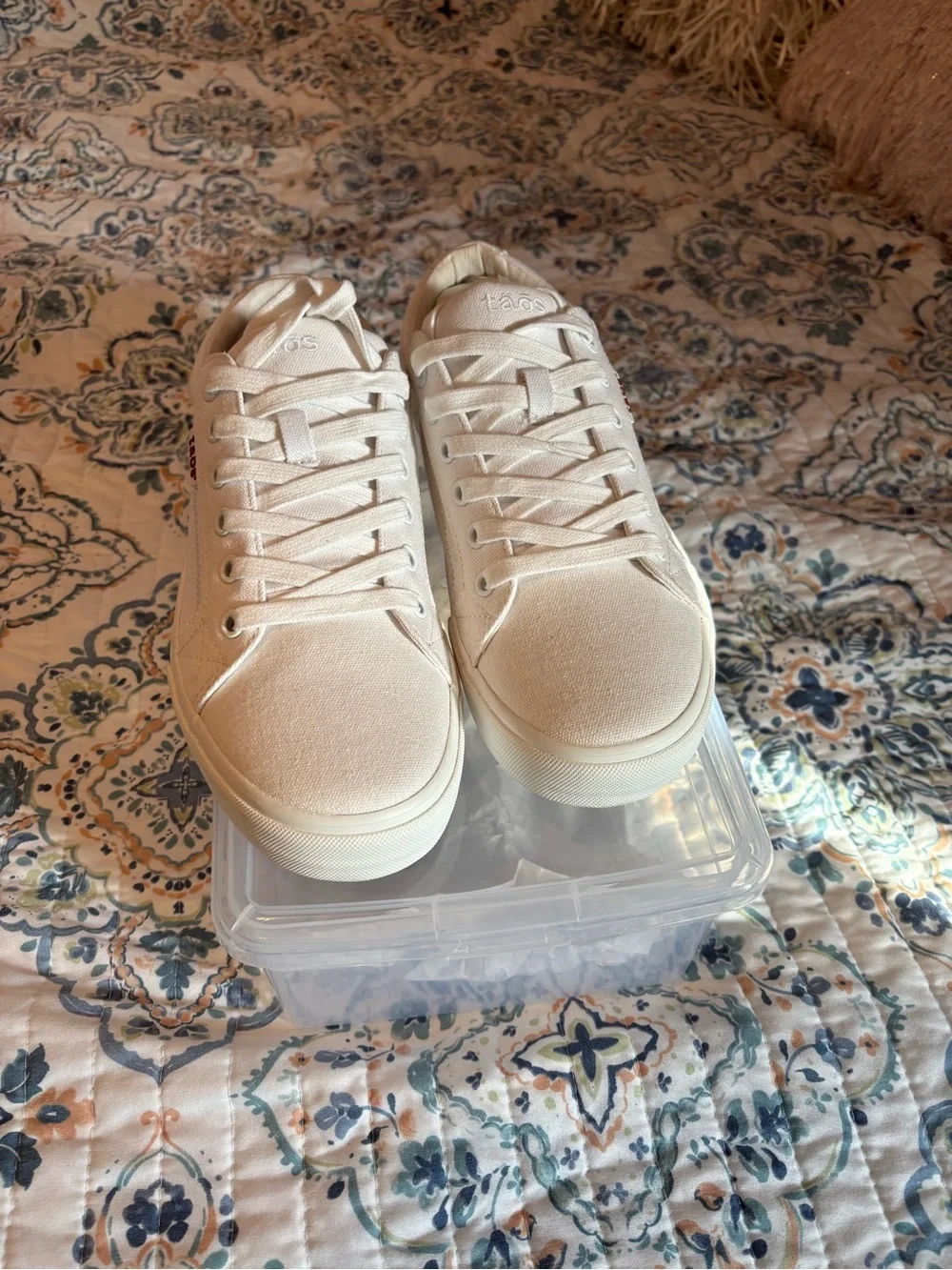 Taos Footwear white Canvas Low-Top Sneakers-NWOT- No box